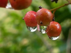 感悟秋雨