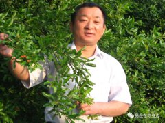 慈善之人的八字特征
